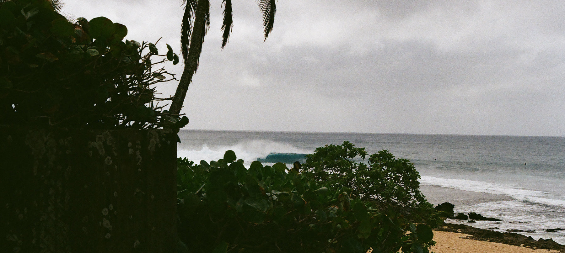 OUR THREE FAVORITE WAVES ON THE 7 MILE MIRACLE