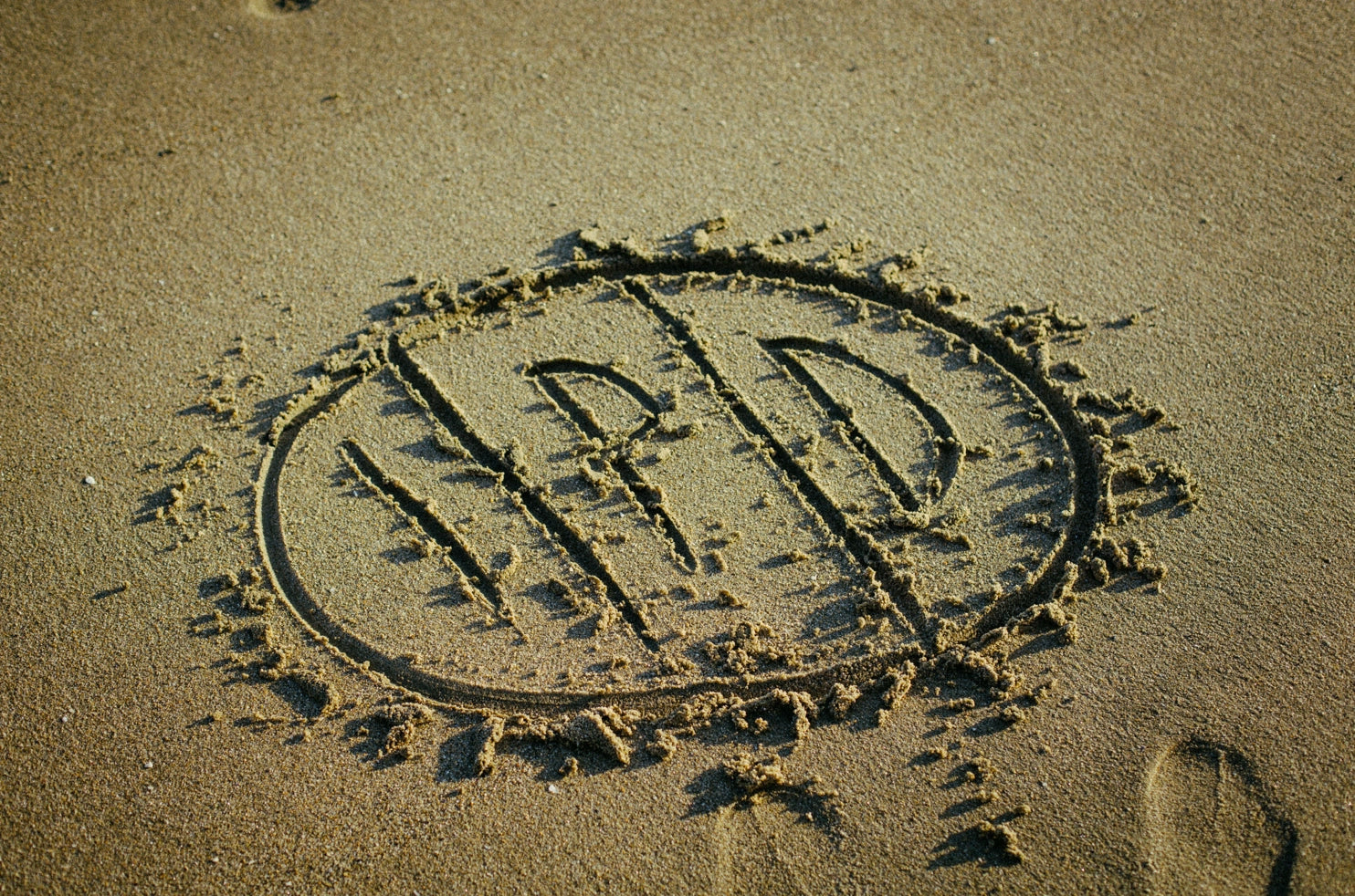 Ipd Pattern IPD Origins: The Story Behind International Pro Designs – IPD International