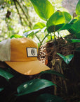 A mustard colored snapback hat with white mesh is sitting on some foliage in a forested area. There's a white rectangular patch with an I P D logo on the front of the hat.