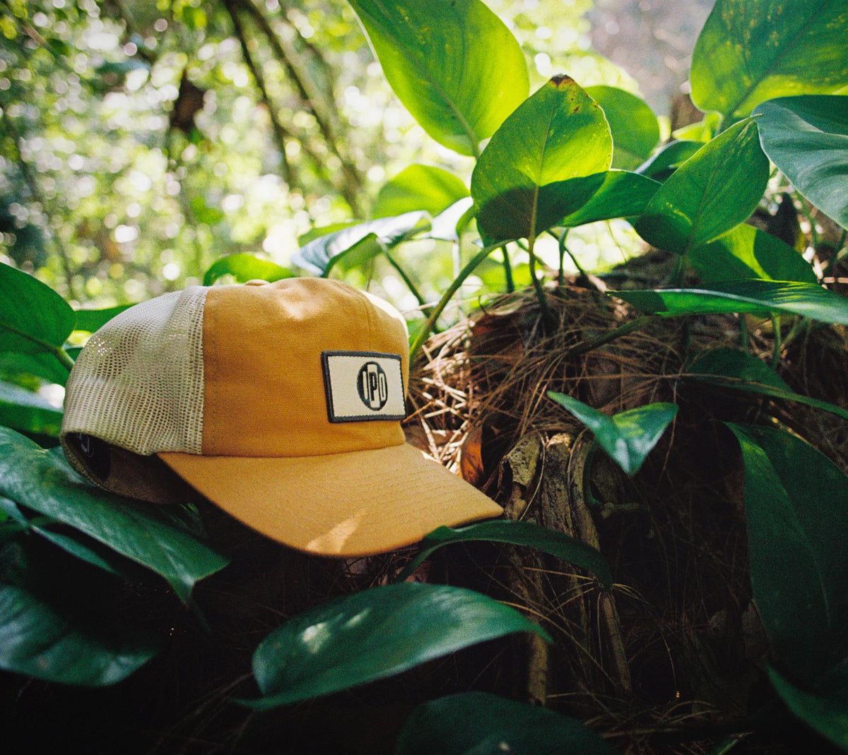 A mustard colored snapback hat with white mesh is sitting on some foliage in a forested area. There&#39;s a white rectangular patch with an I P D logo on the front of the hat.