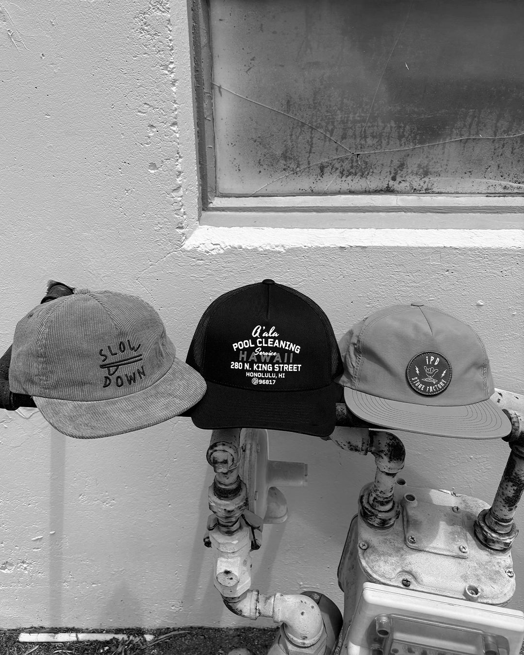 Collection Image
